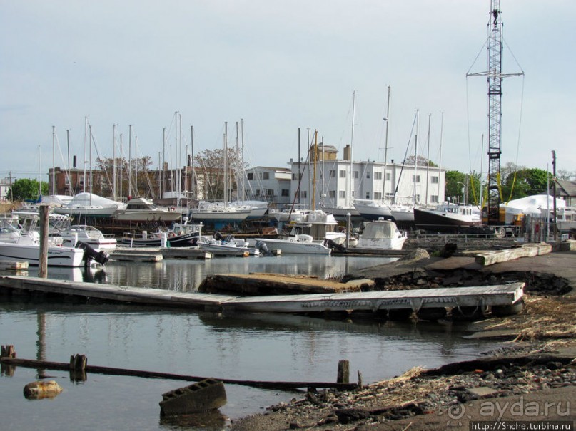 Особенности жизни на берегу