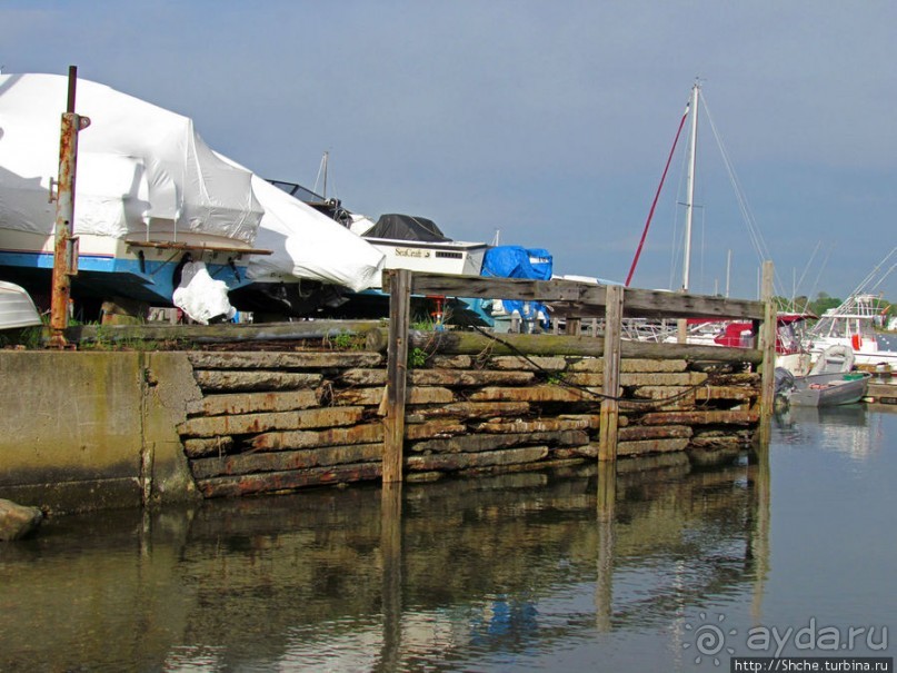 Особенности жизни на берегу
