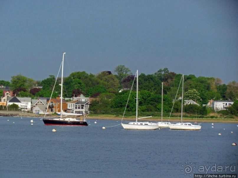 Особенности жизни на берегу