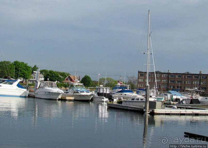 Особенности жизни на берегу