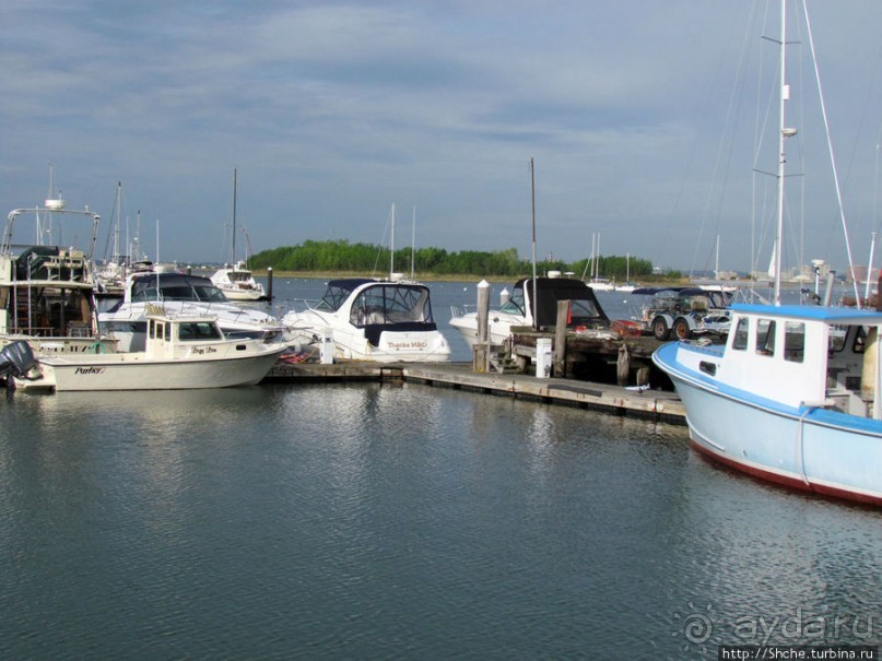 Особенности жизни на берегу