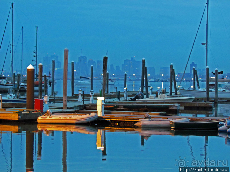 Особенности жизни на берегу