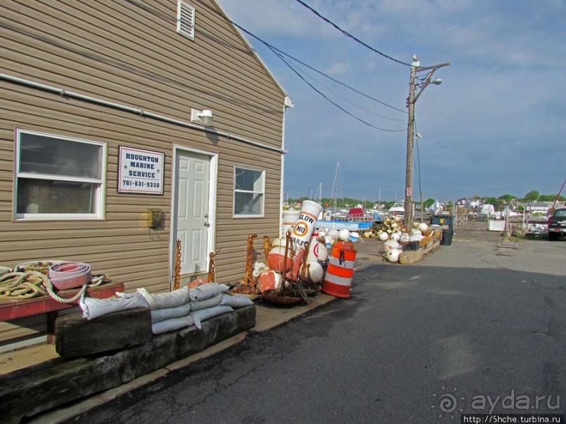 Особенности жизни на берегу