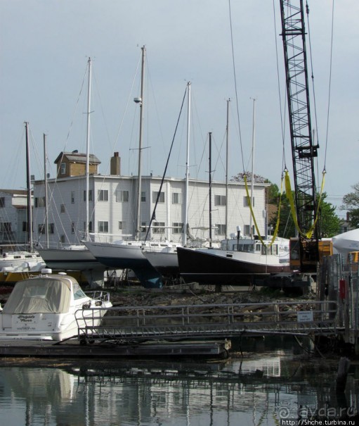 Особенности жизни на берегу