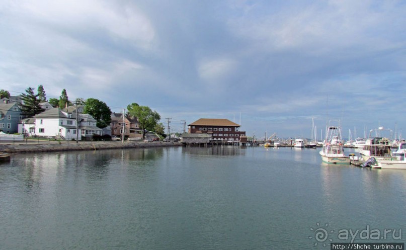 Особенности жизни на берегу