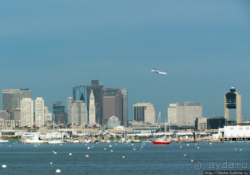 Особенности жизни на берегу