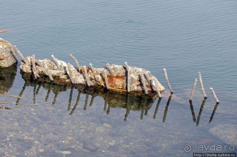Особенности жизни на берегу