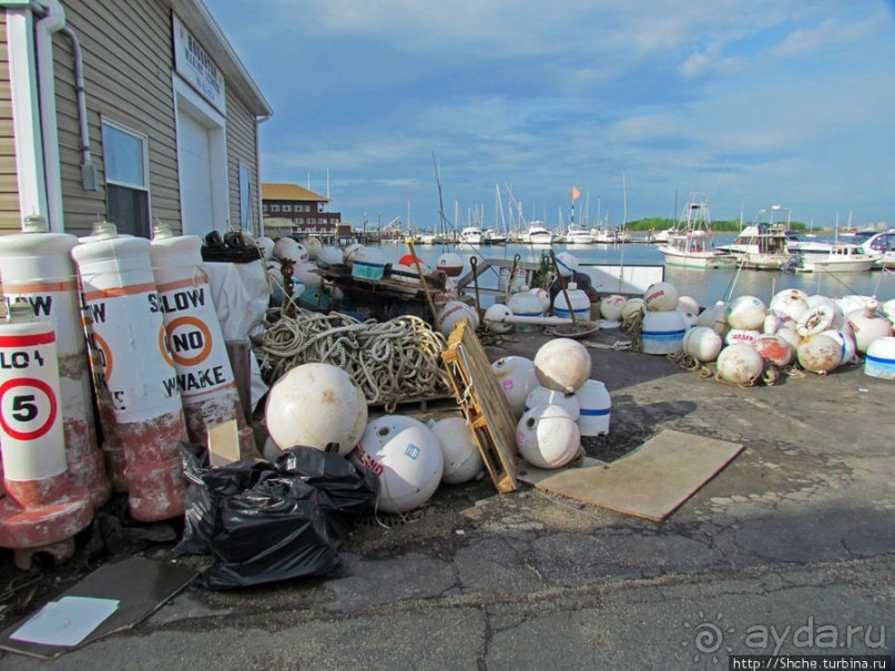 Особенности жизни на берегу