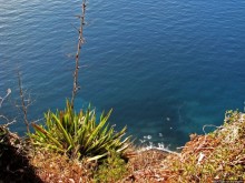 Воспоминаинияо Мадейре. Cabo Girão — высочайший мыс Европы