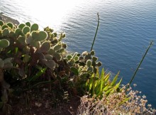 Воспоминаинияо Мадейре. Cabo Girão — высочайший мыс Европы