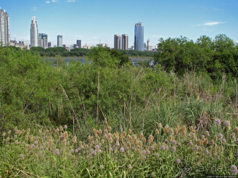 "Водоплавающее" разноптичье лагуны Патос