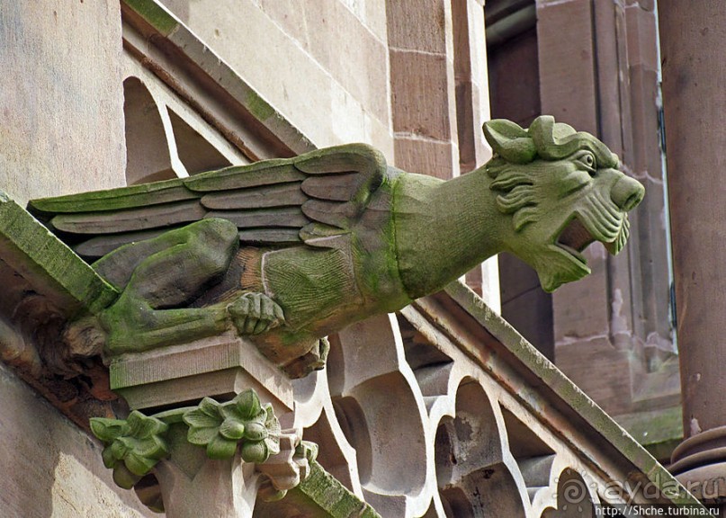 Причудливые водостоки замка Драхенсбург