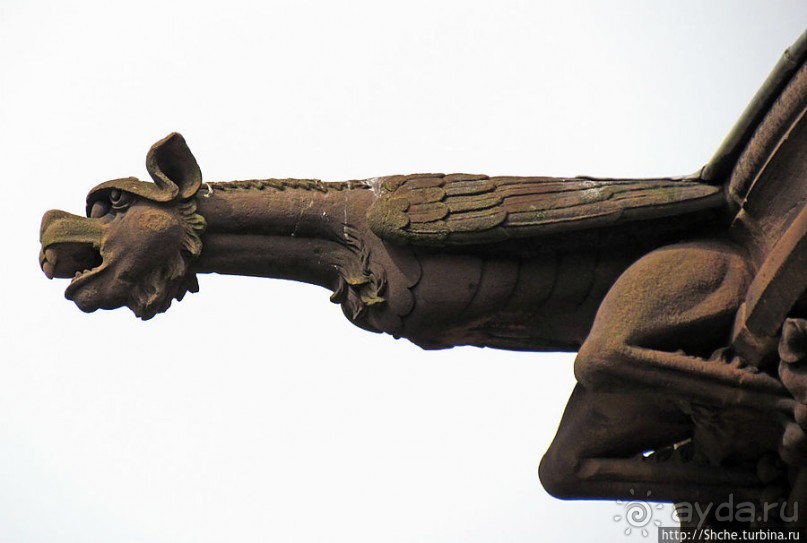 Причудливые водостоки замка Драхенсбург