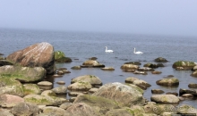 Видземские скалы Латвии — какая страна, такие и скалы