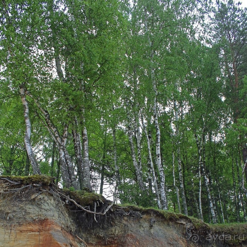 Видземские скалы Латвии — какая страна, такие и скалы
