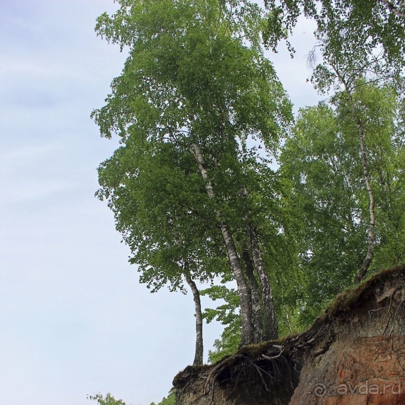 Видземские скалы Латвии — какая страна, такие и скалы