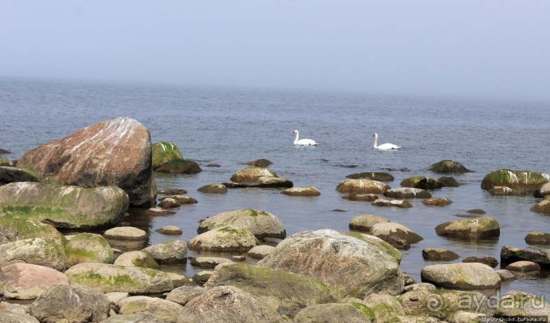 Видземские скалы Латвии — какая страна, такие и скалы