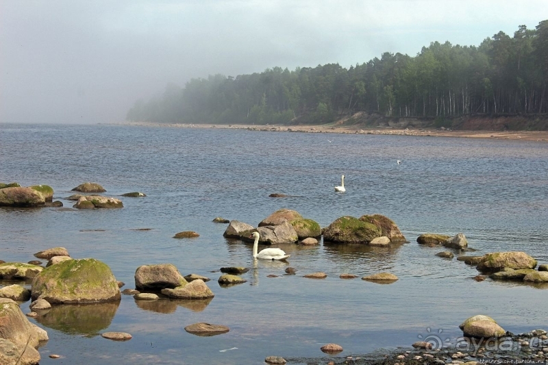 Видземские скалы Латвии — какая страна, такие и скалы