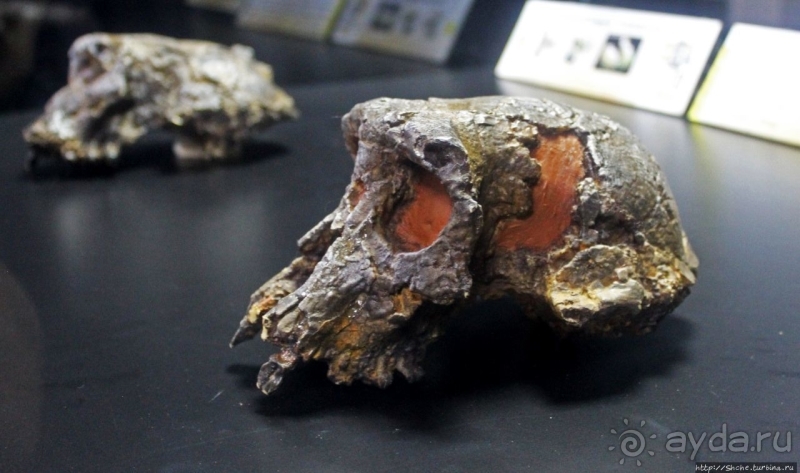 Большая мечеть Нджамены, моя история посещения