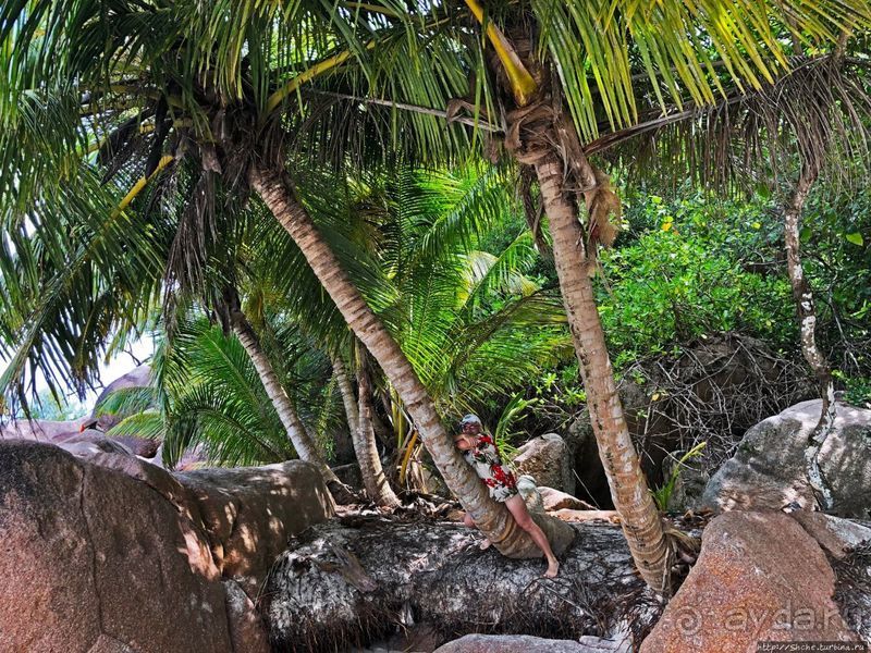 Сейшельская классика. Anse Lazio — лучший пляж на Праслине