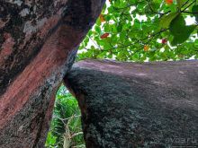 Сейшельская классика. Anse Lazio — лучший пляж на Праслине