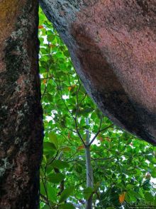 Сейшельская классика. Anse Lazio — лучший пляж на Праслине