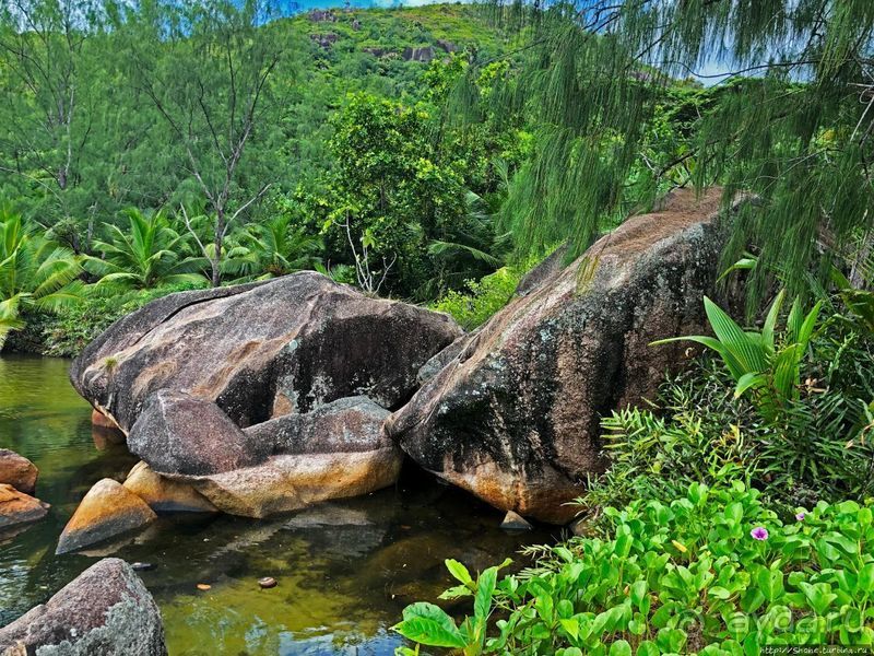 Сейшельская классика. Anse Lazio — лучший пляж на Праслине
