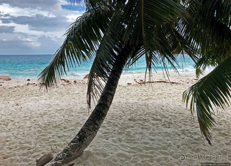 Сейшельская классика. Anse Lazio — лучший пляж на Праслине