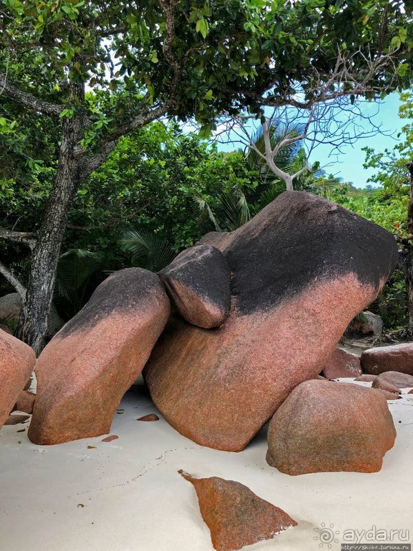 Сейшельская классика. Anse Lazio — лучший пляж на Праслине