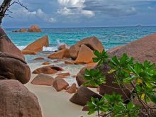 Сейшельская классика. Anse Lazio — лучший пляж на Праслине