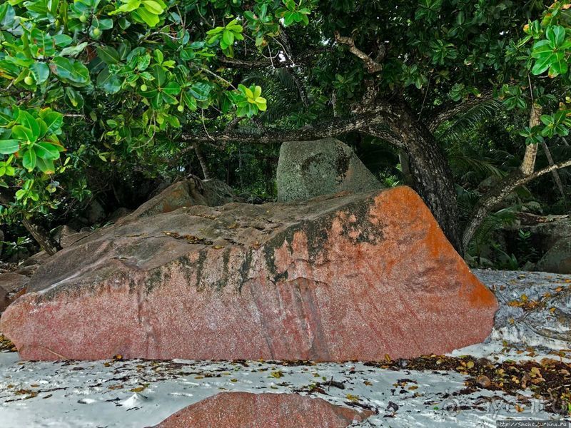 Сейшельская классика. Anse Lazio — лучший пляж на Праслине