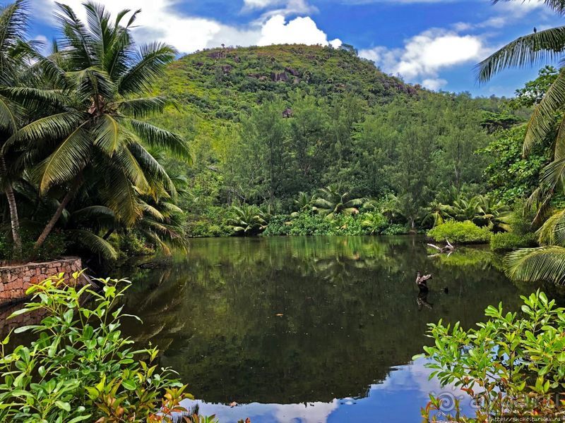 Сейшельская классика. Anse Lazio — лучший пляж на Праслине
