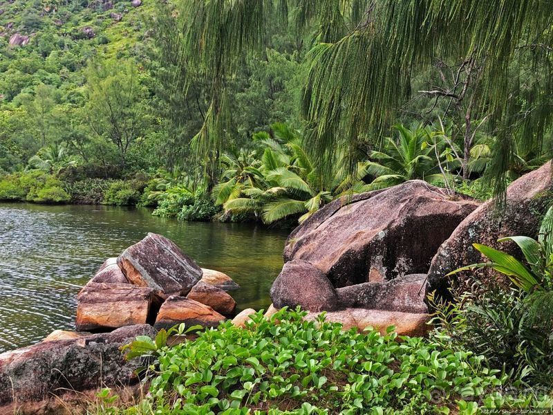 Сейшельская классика. Anse Lazio — лучший пляж на Праслине