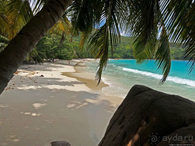 Сейшельская классика. Anse Lazio — лучший пляж на Праслине