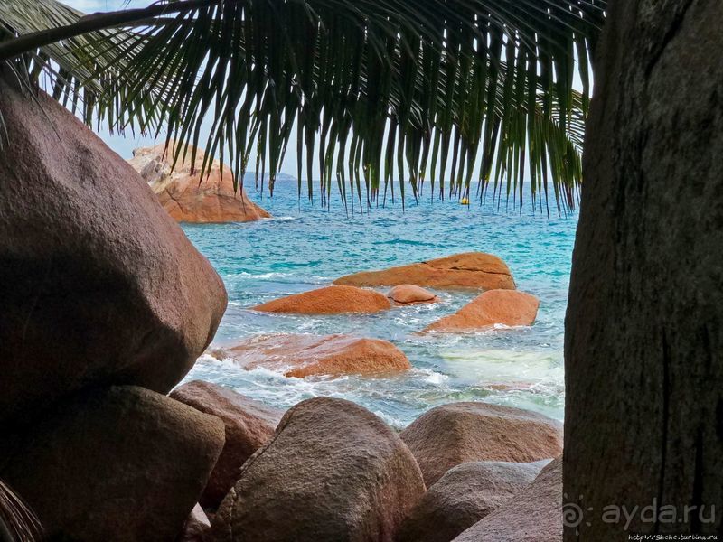 Сейшельская классика. Anse Lazio — лучший пляж на Праслине