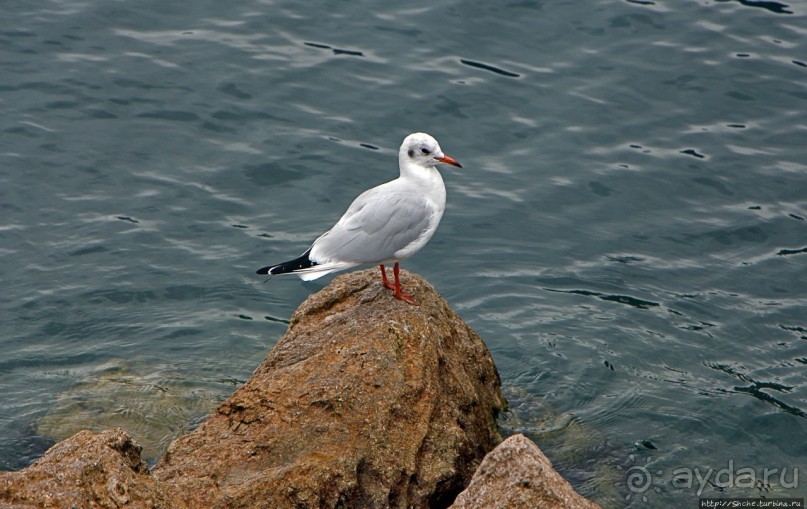 Рива-дель-Гарда. Осенняя спячка
