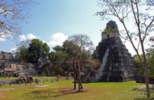 Тикаль. Главная (центральная) площадь