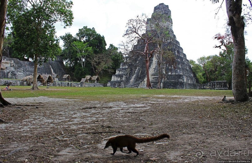 Тикаль. Главная (центральная) площадь
