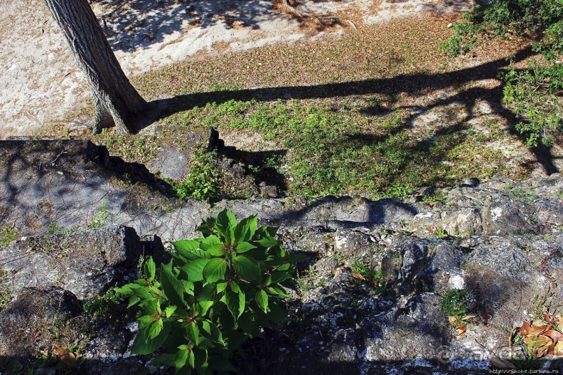 Тикаль. Главная (центральная) площадь