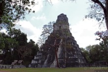 Тикаль. Главная (центральная) площадь