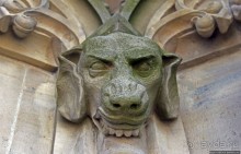 Мне сверху видно все... Красные крыши Старого Берна