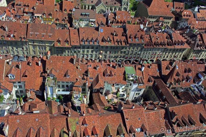 Мне сверху видно все... Красные крыши Старого Берна