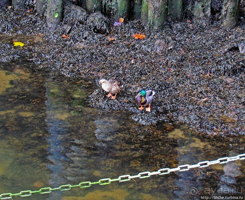 Нас встречает город Тронхейм
