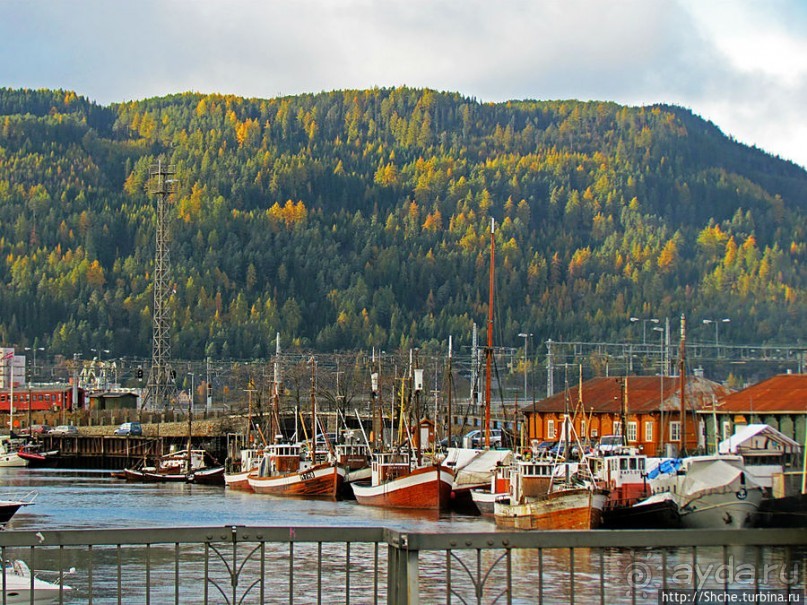 Нас встречает город Тронхейм