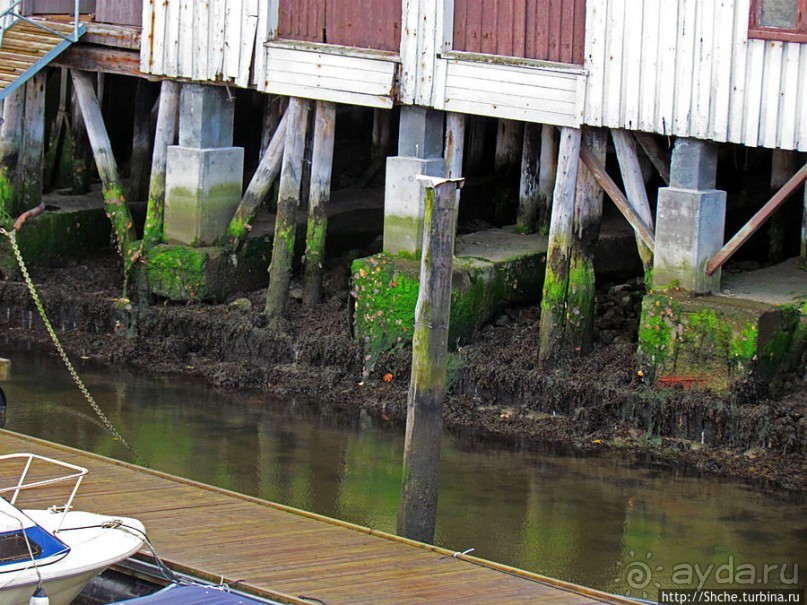 Нас встречает город Тронхейм