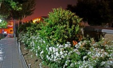 Мост 33-х арок в Исфахане, вечернее знакомство