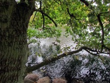 Замок-крепость-музей Мальме Malmohus slot и одноименный парк