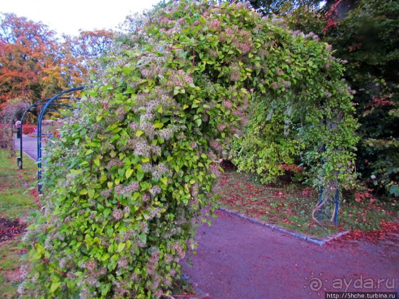 Замок-крепость-музей Мальме Malmohus slot и одноименный парк