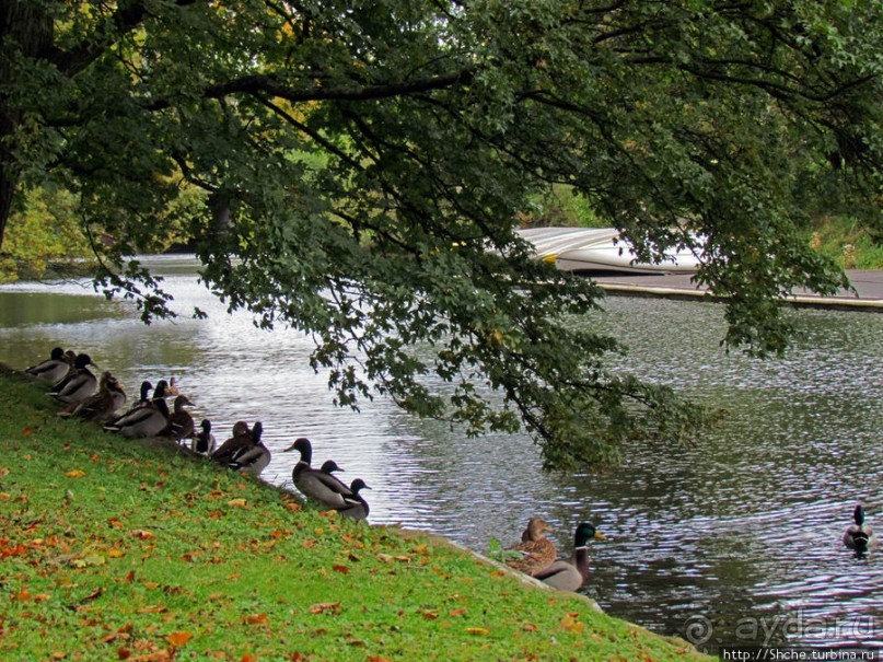 Замок-крепость-музей Мальме Malmohus slot и одноименный парк