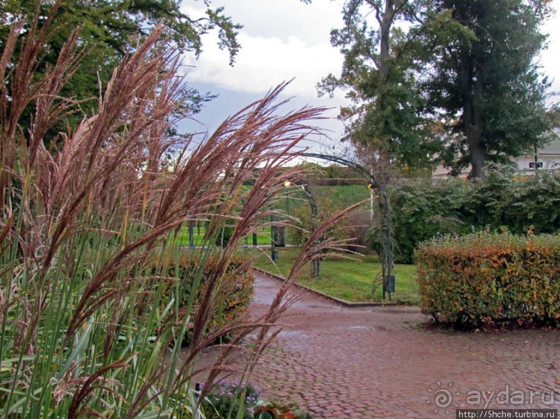 Замок-крепость-музей Мальме Malmohus slot и одноименный парк